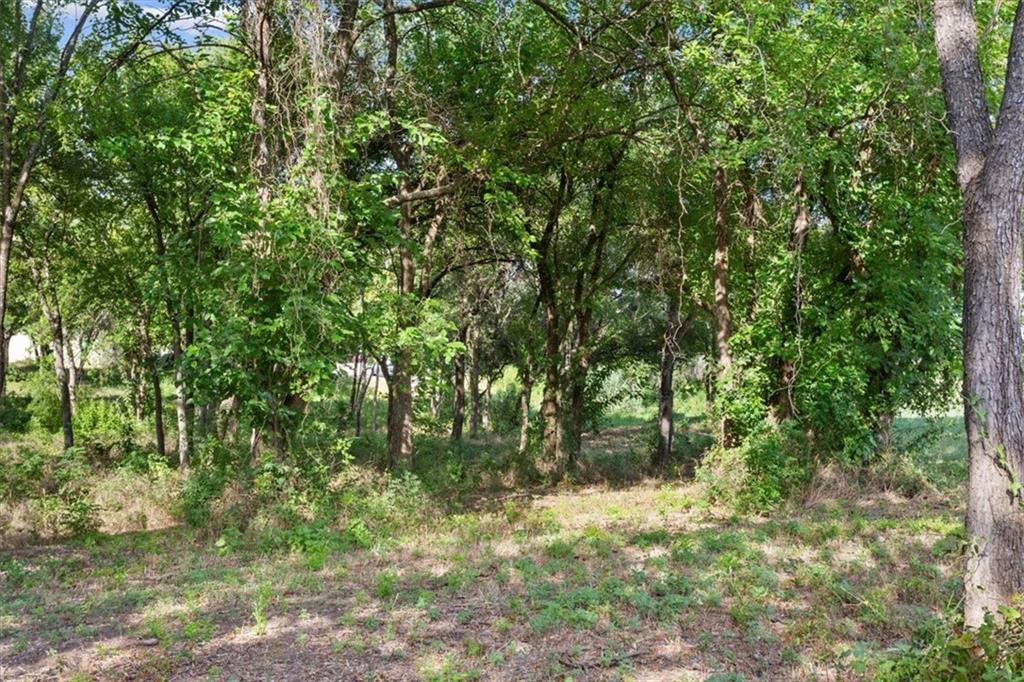 15190 Badger Ranch Boulevard Property Photo 40