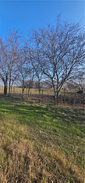 1851 Fm 339 Property Photo 5