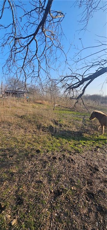 1851 Fm 339 Property Photo 13