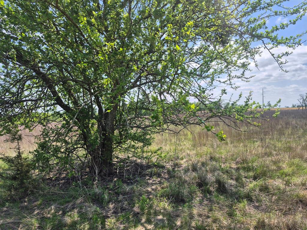 T.b.d Pr 4311 Property Photo 5