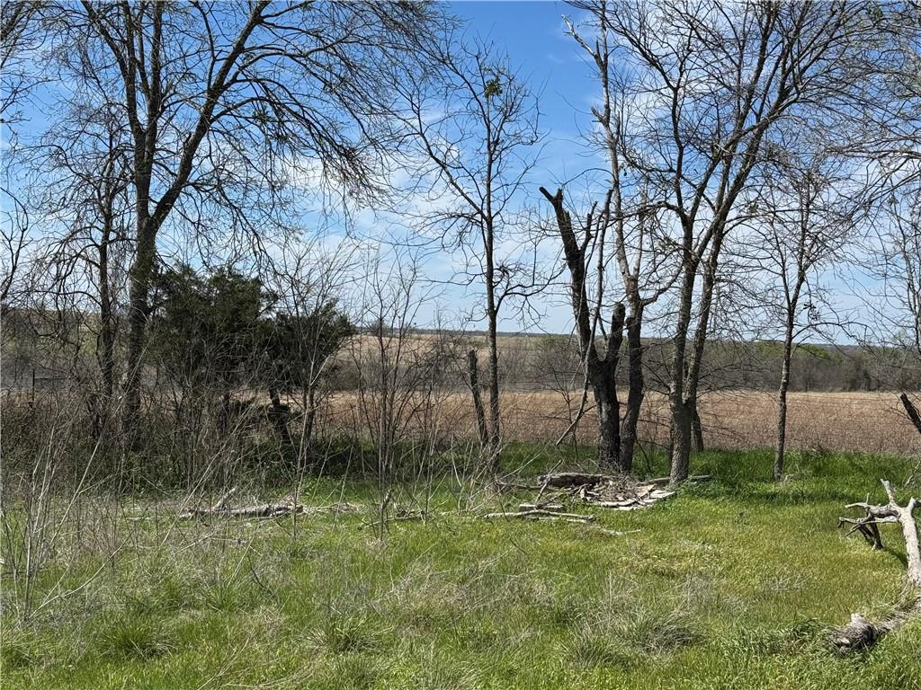 103 Cypress Street Property Photo 8