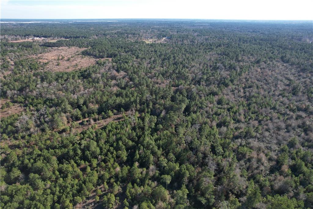000 Cr 302 Property Photo 3