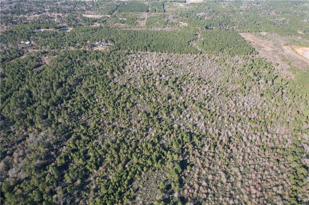000 Cr 302 Property Photo 4