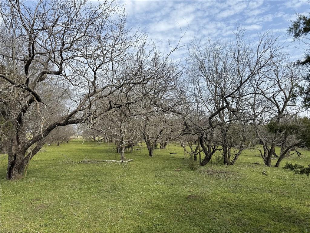 16459 China Spring Road Property Photo 3