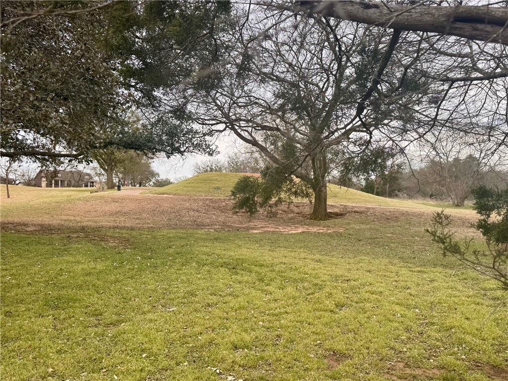 27082 Meadowmore Drive Property Photo 2