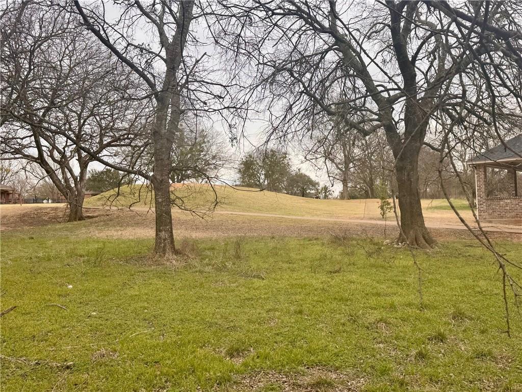27082 Meadowmore Drive Property Photo 4