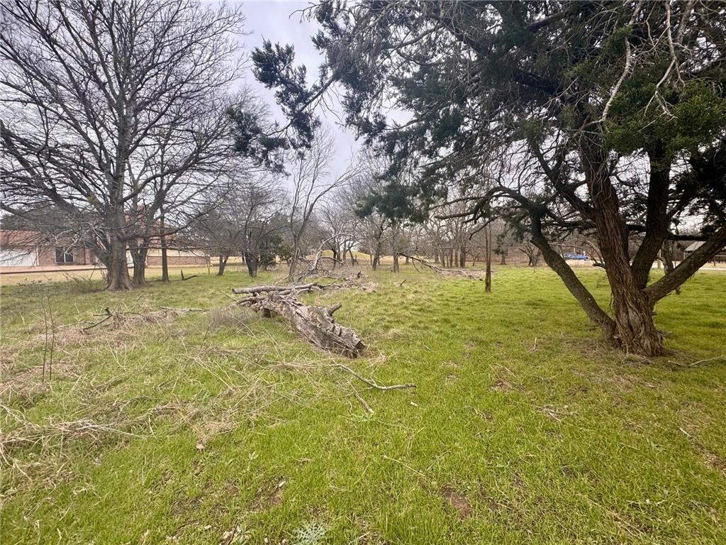 27082 Meadowmore Drive Property Photo 10