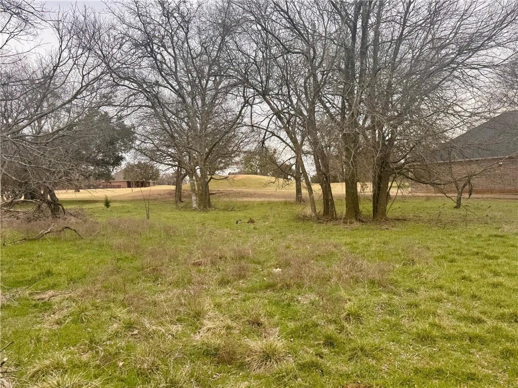 27082 Meadowmore Drive Property Photo 11