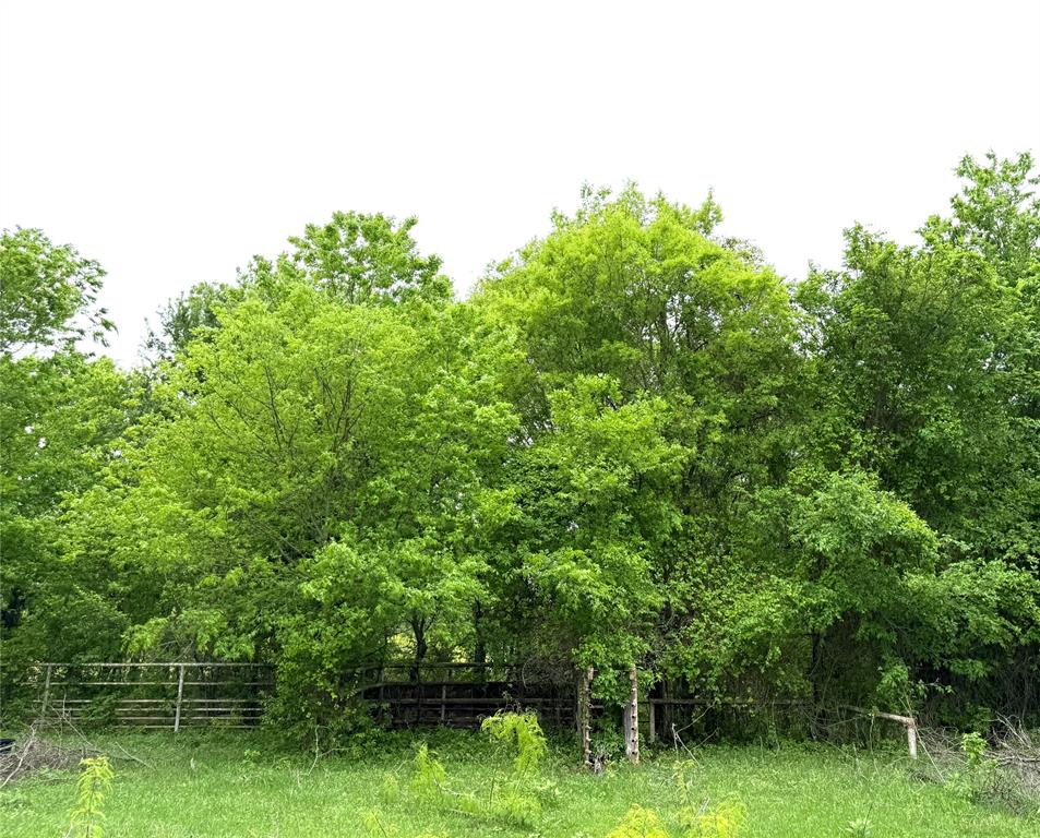 8932 Fm 339 Road Property Photo 21