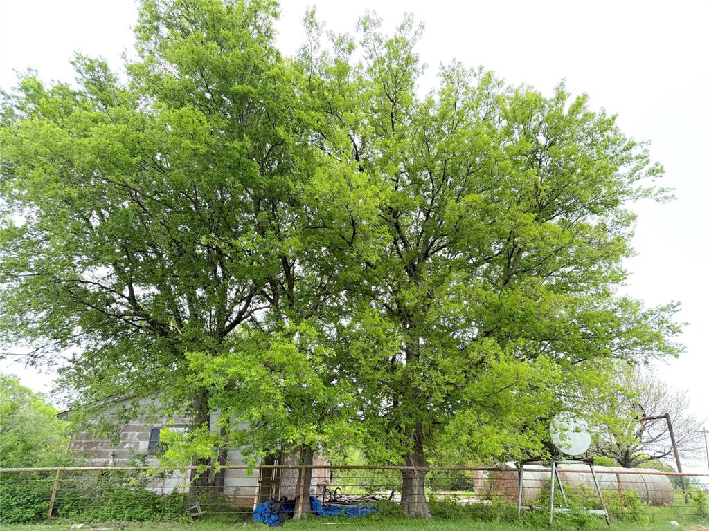 8932 Fm 339 Road Property Photo 28