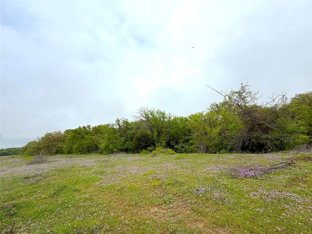 8932 Fm 339 Road Property Photo 30