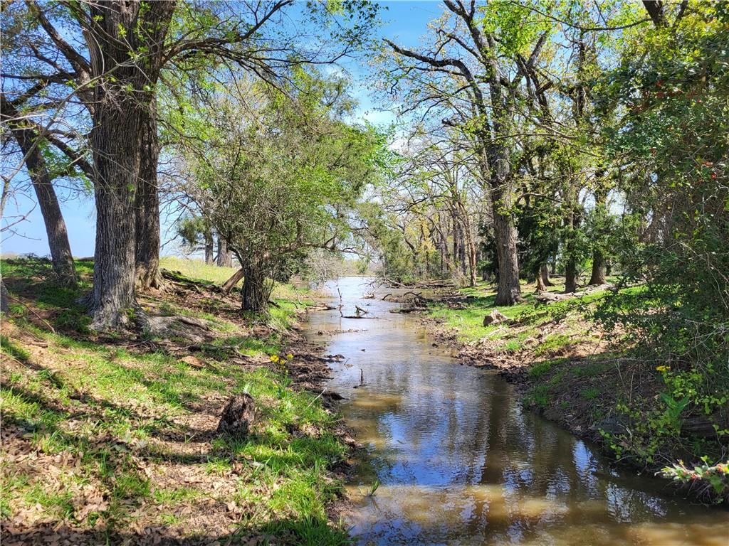 93.4 Ac Lcr 862 Property Photo 13