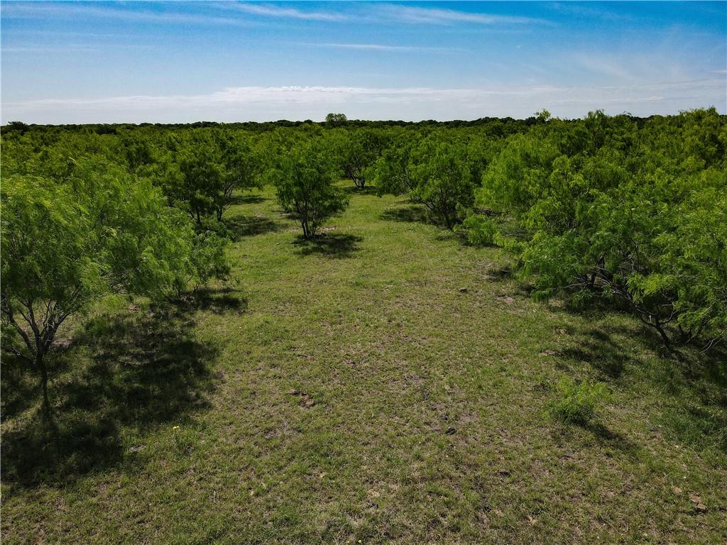 0000 Cr 4120 Road Property Photo 5