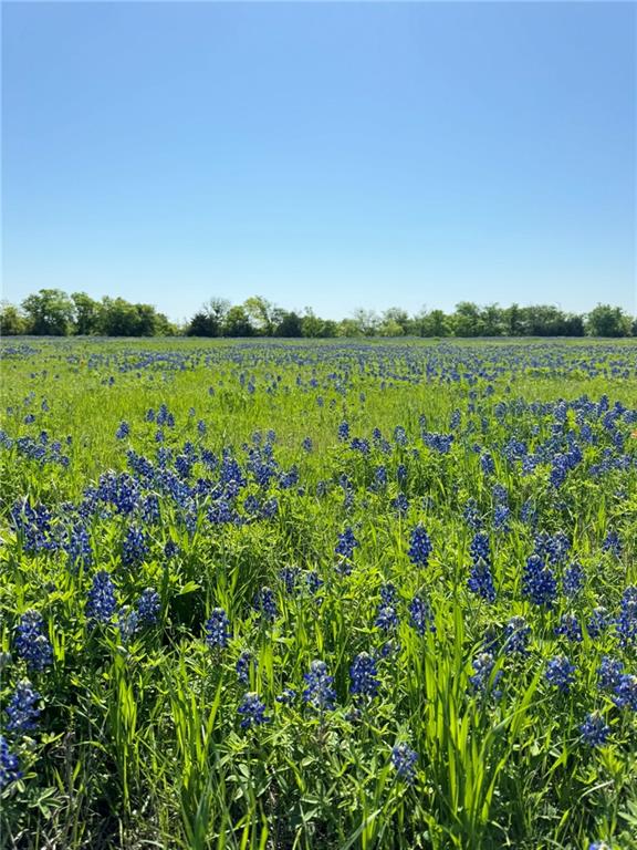 5 Acres Fm 308 Road Property Photo