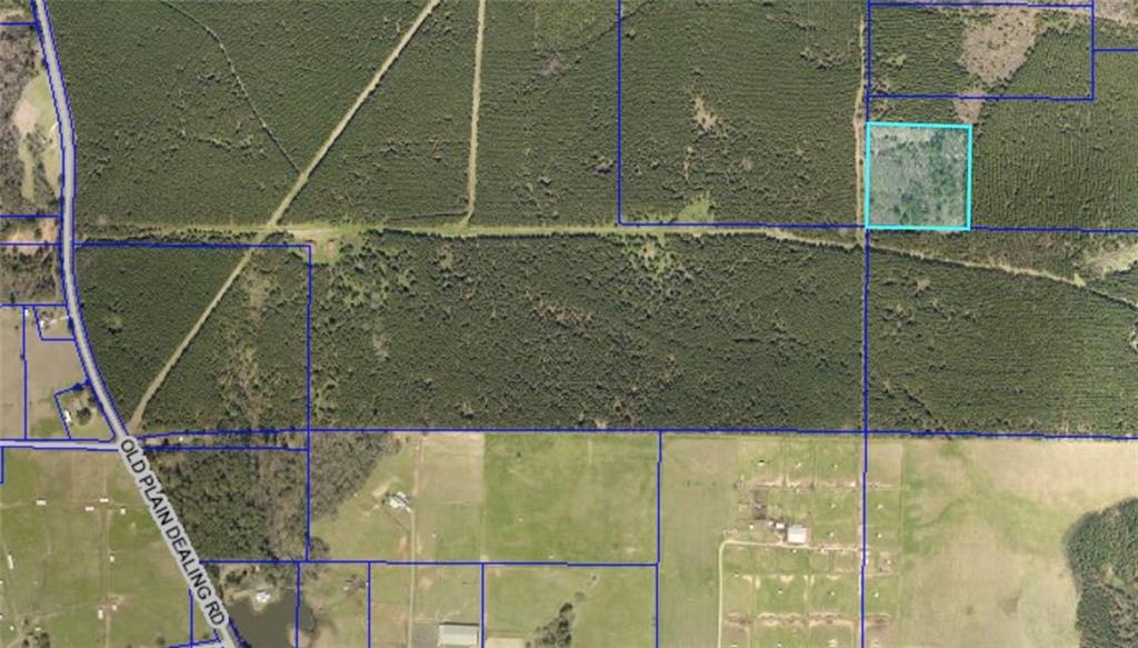 0 Old Plain Dealing Hwy Property Photo 1