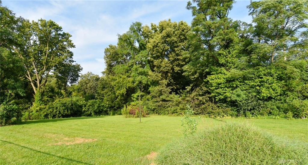 0 Jackson Property Photo 3