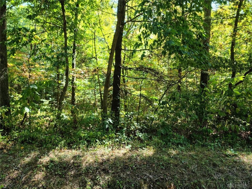 0 Ohio River Scenic Byway Property Photo 2