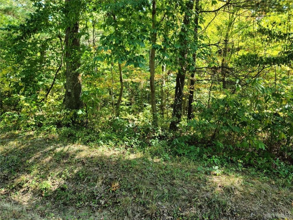 0 Ohio River Scenic Byway Property Photo 3