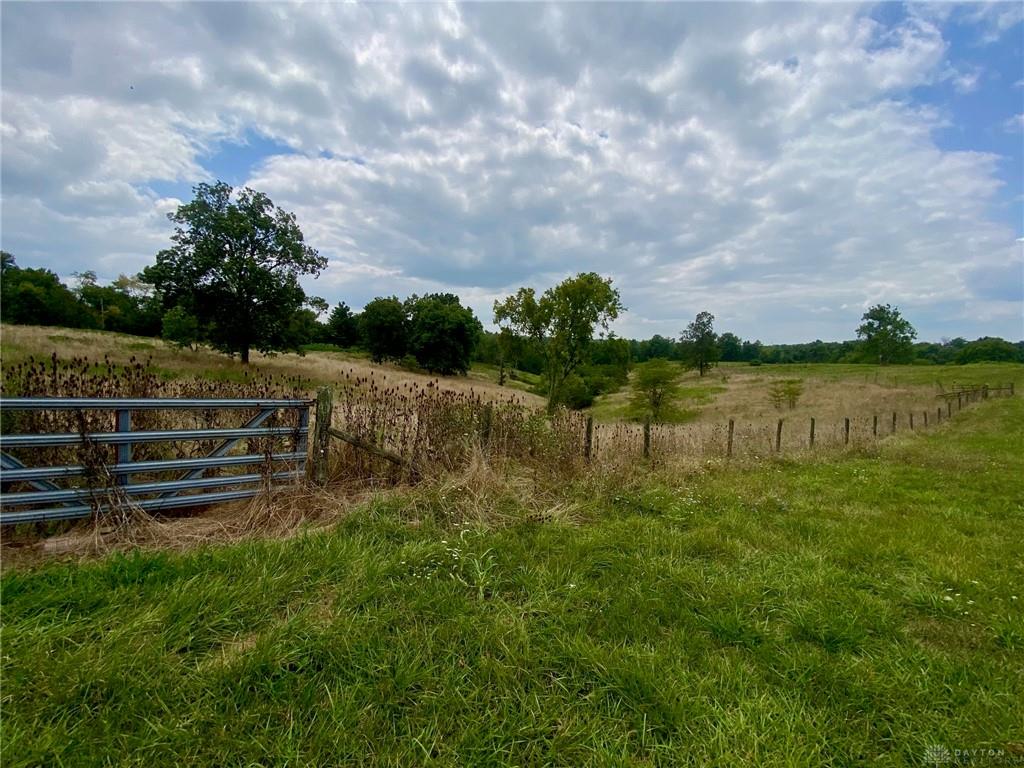 10242 Hickory Ridge Road Property Photo 16