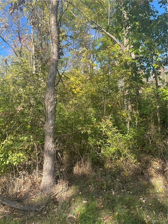 0 Binkley Lane Property Photo 4