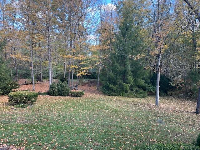6051 Sonora Road Property Photo 26