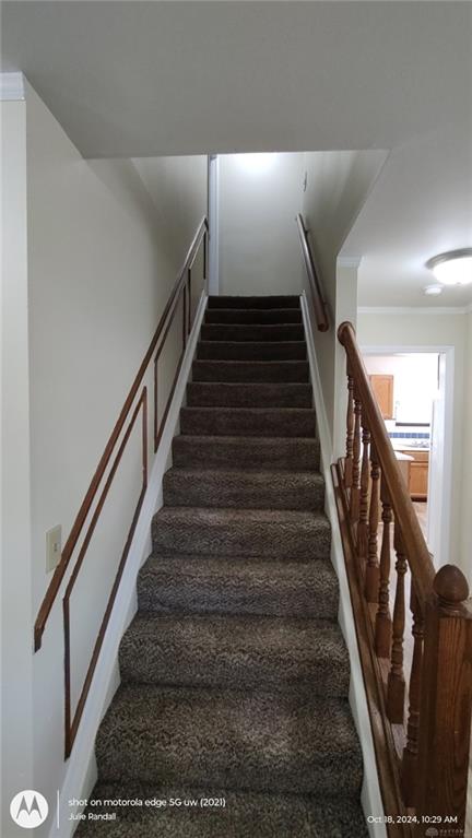 6959 Deer Bluff Property Photo 13