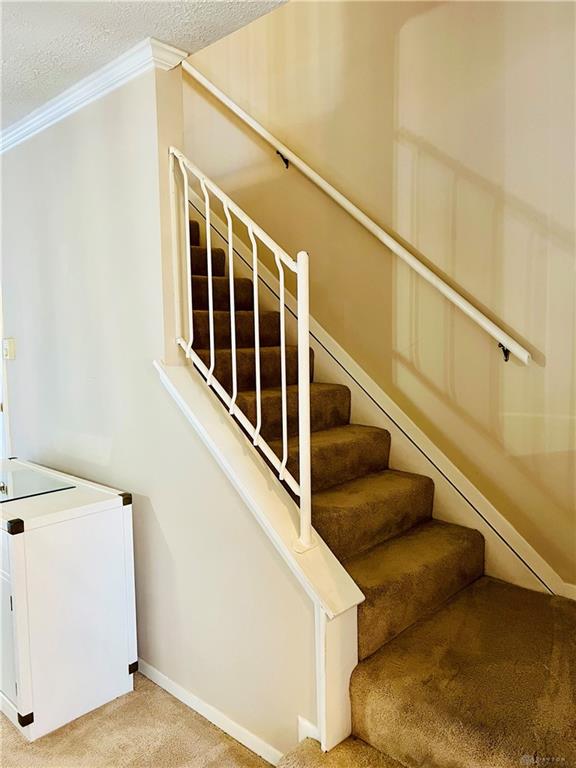 4524 Shawnray 21 Property Photo 18