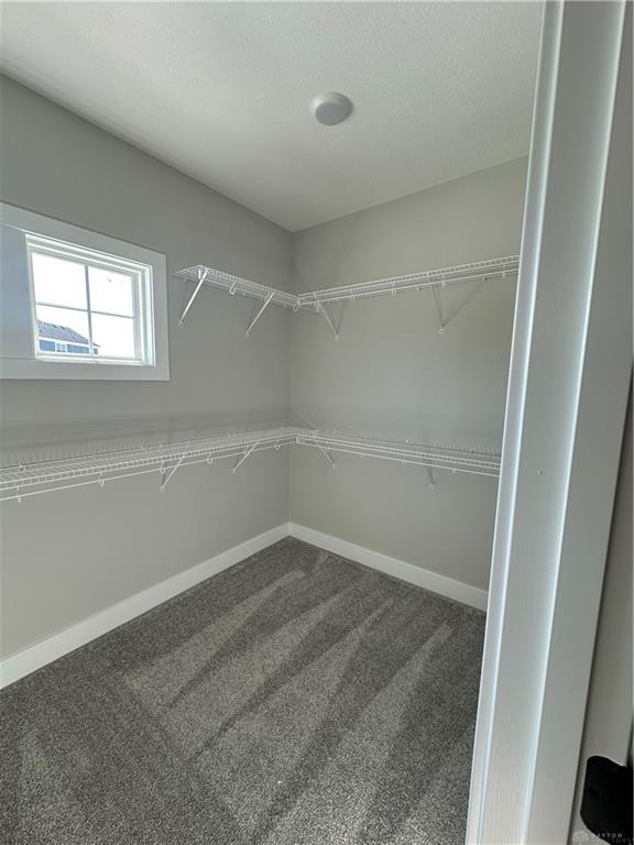 7851 Wedgemere Circle Property Photo 36