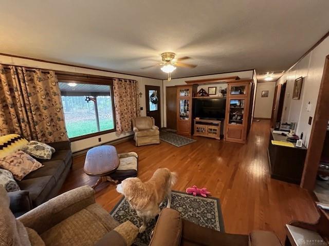 539 Rush Road Property Photo 2