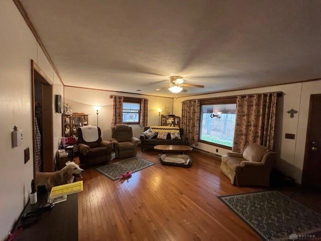539 Rush Road Property Photo 3