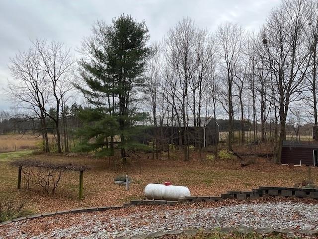 539 Rush Road Property Photo 19