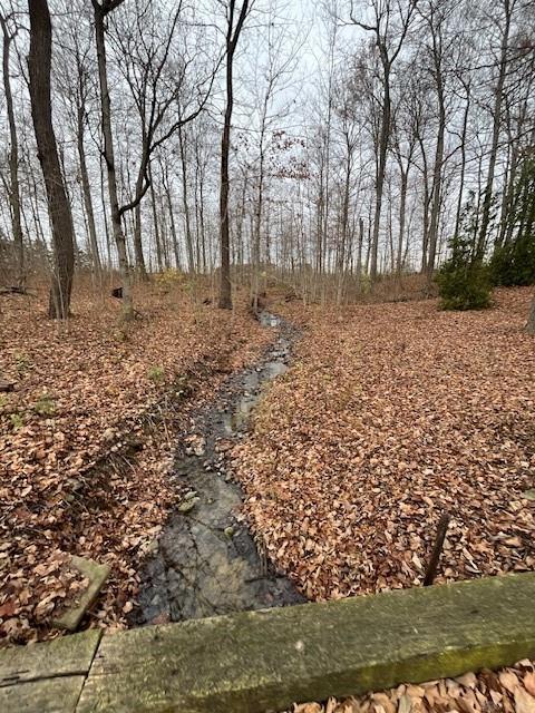 539 Rush Road Property Photo 28