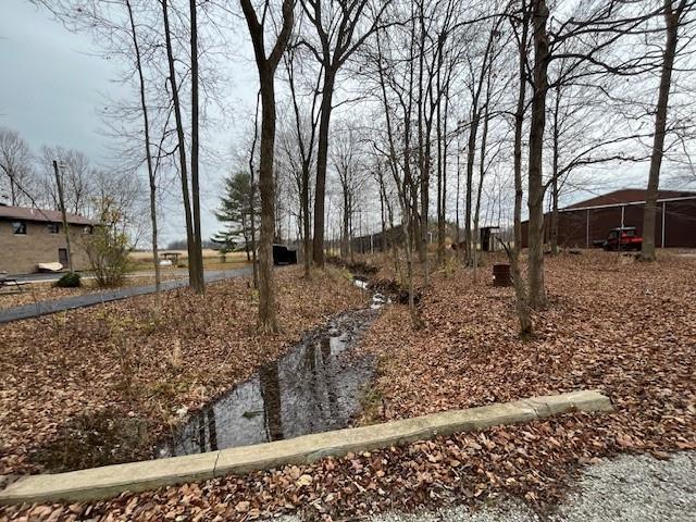 539 Rush Road Property Photo 29