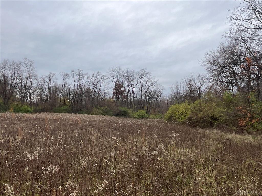 0 Dog Leg Property Photo 10