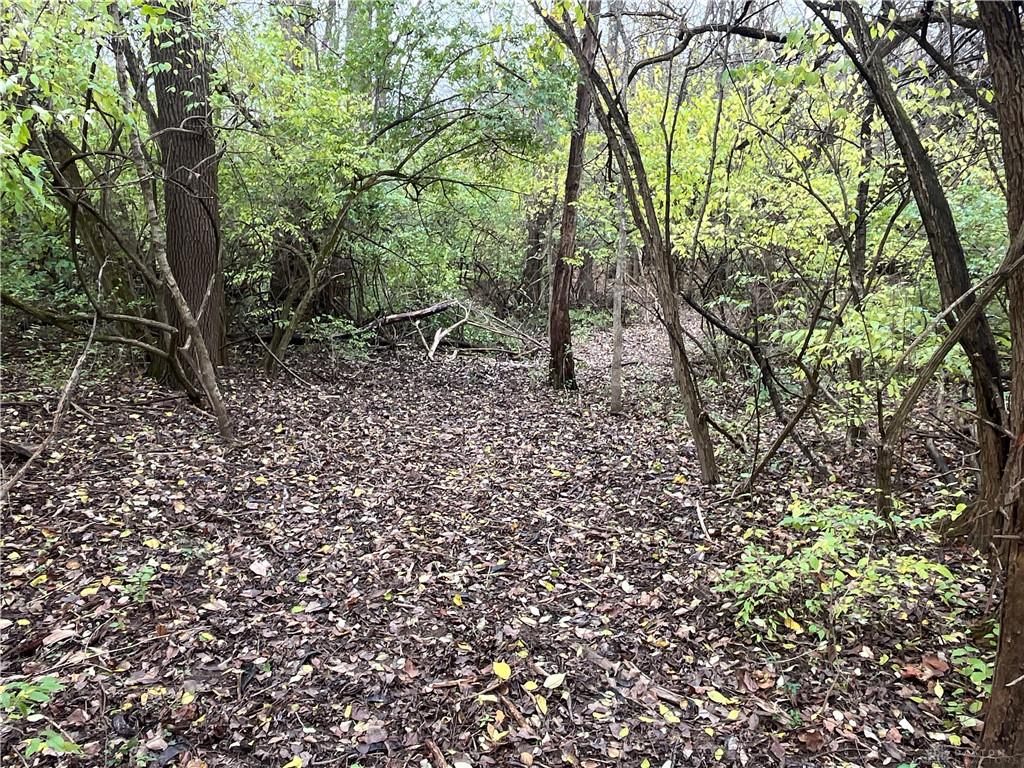0 Dog Leg Property Photo 11