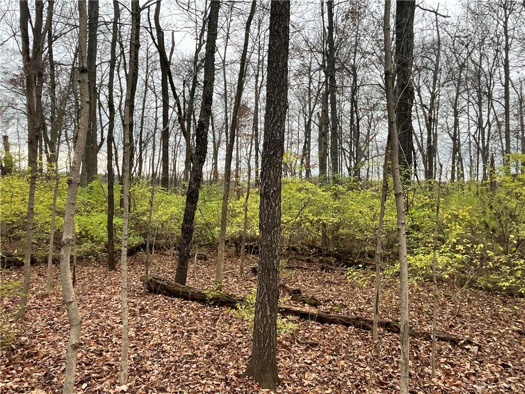 0 Dog Leg Property Photo 12