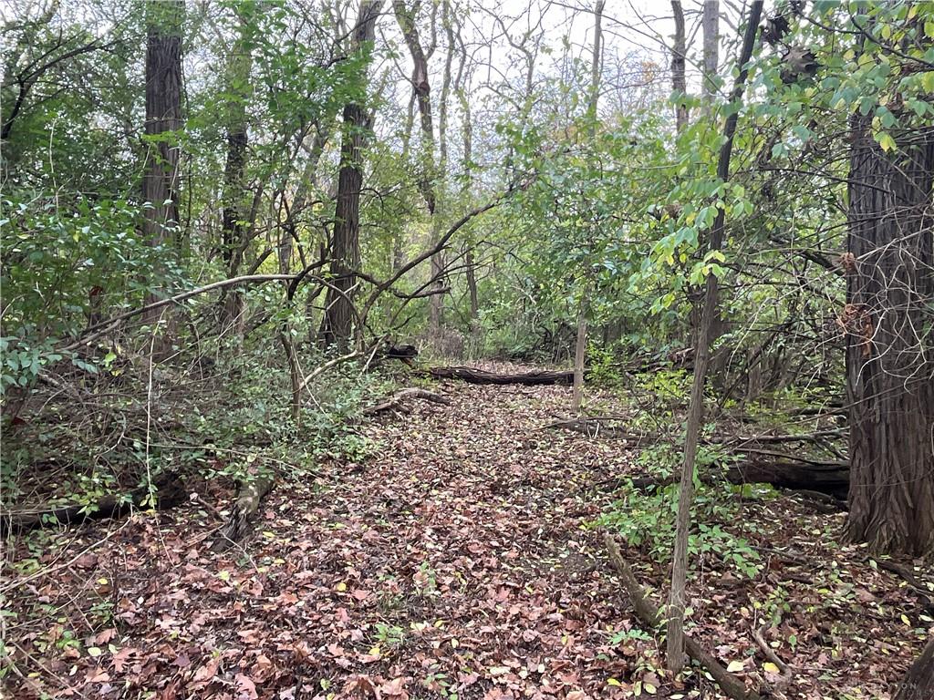 0 Dog Leg Property Photo 13