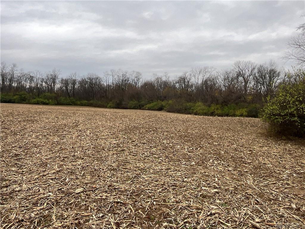 0 Dog Leg Property Photo 14