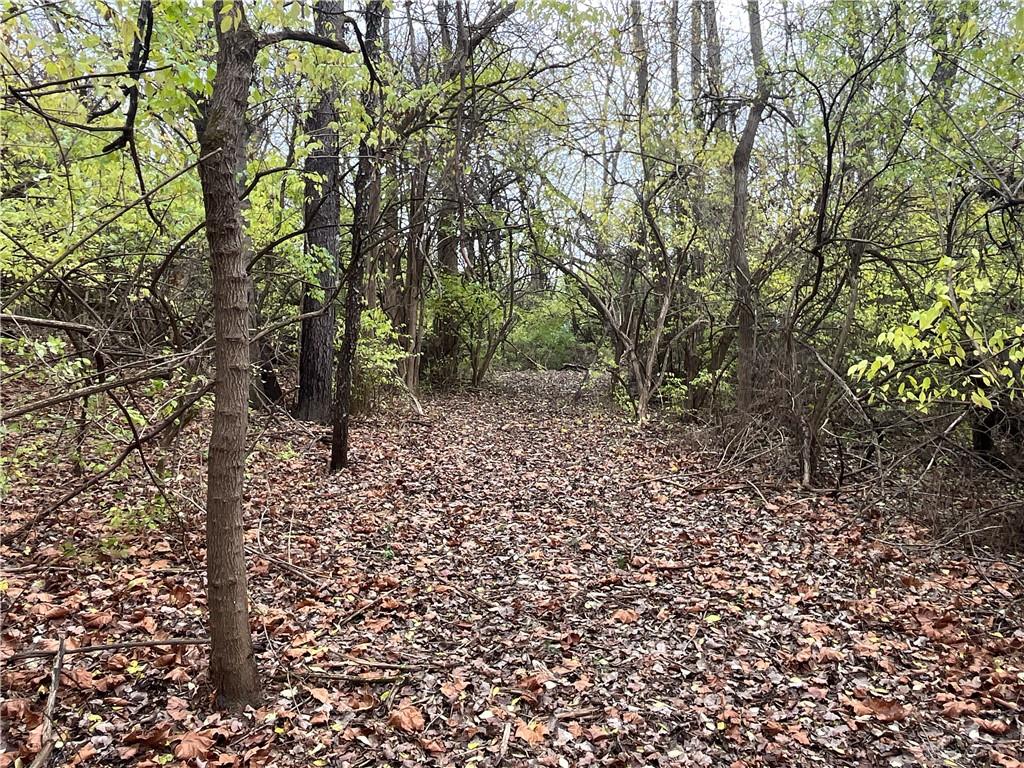0 Dog Leg Property Photo 17