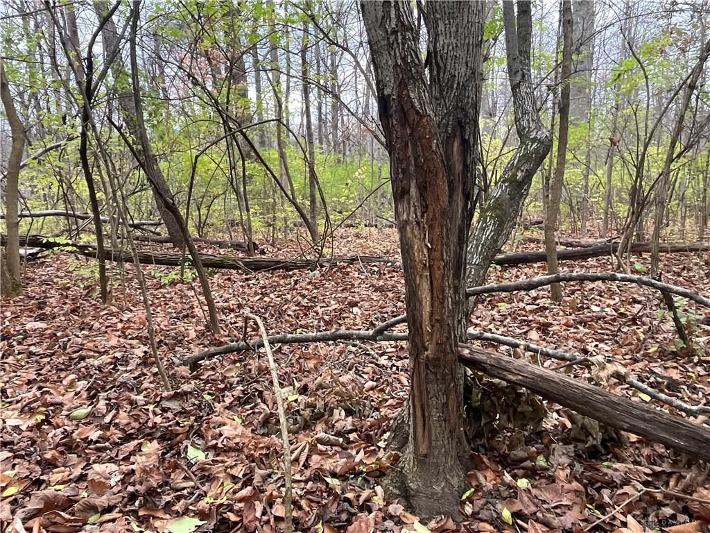 0 Dog Leg Property Photo 22