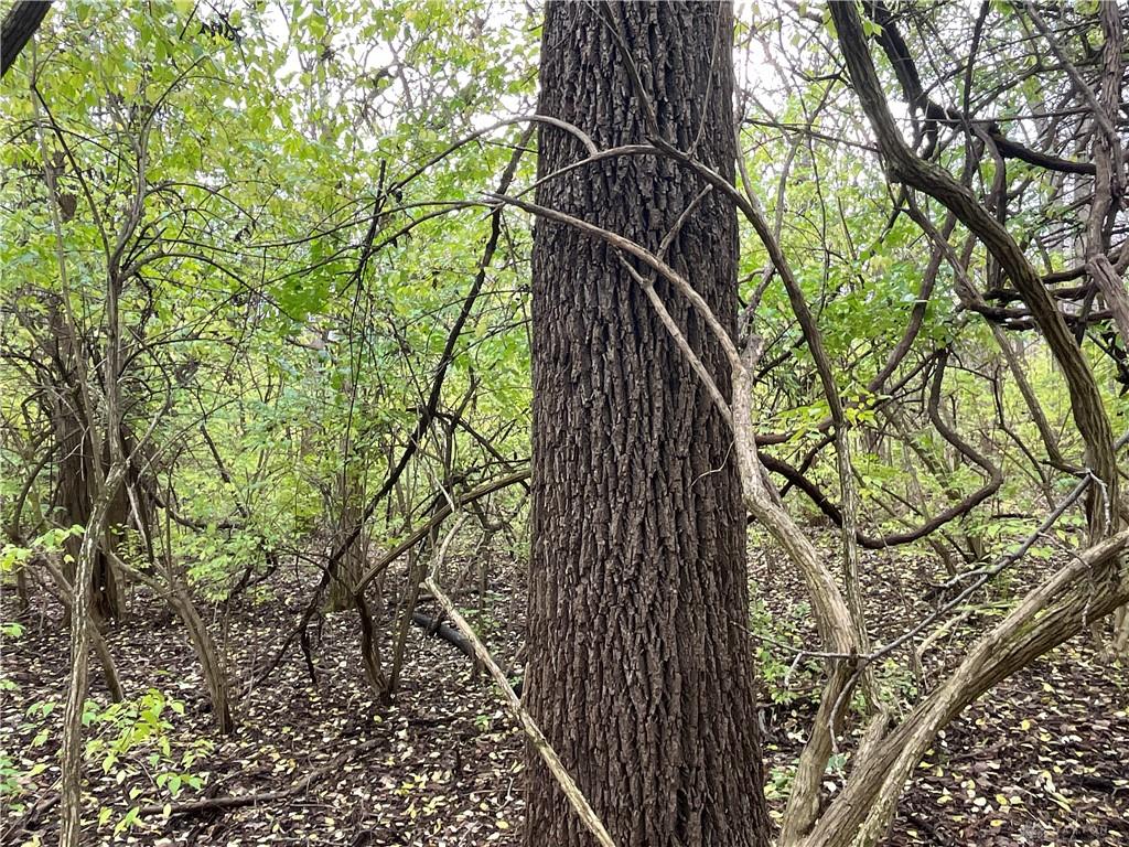 0 Dog Leg Property Photo 25
