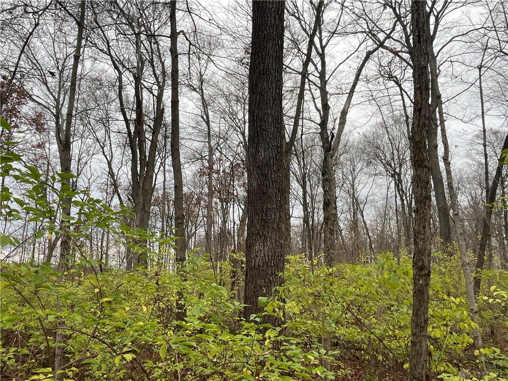 0 Dog Leg Property Photo 26
