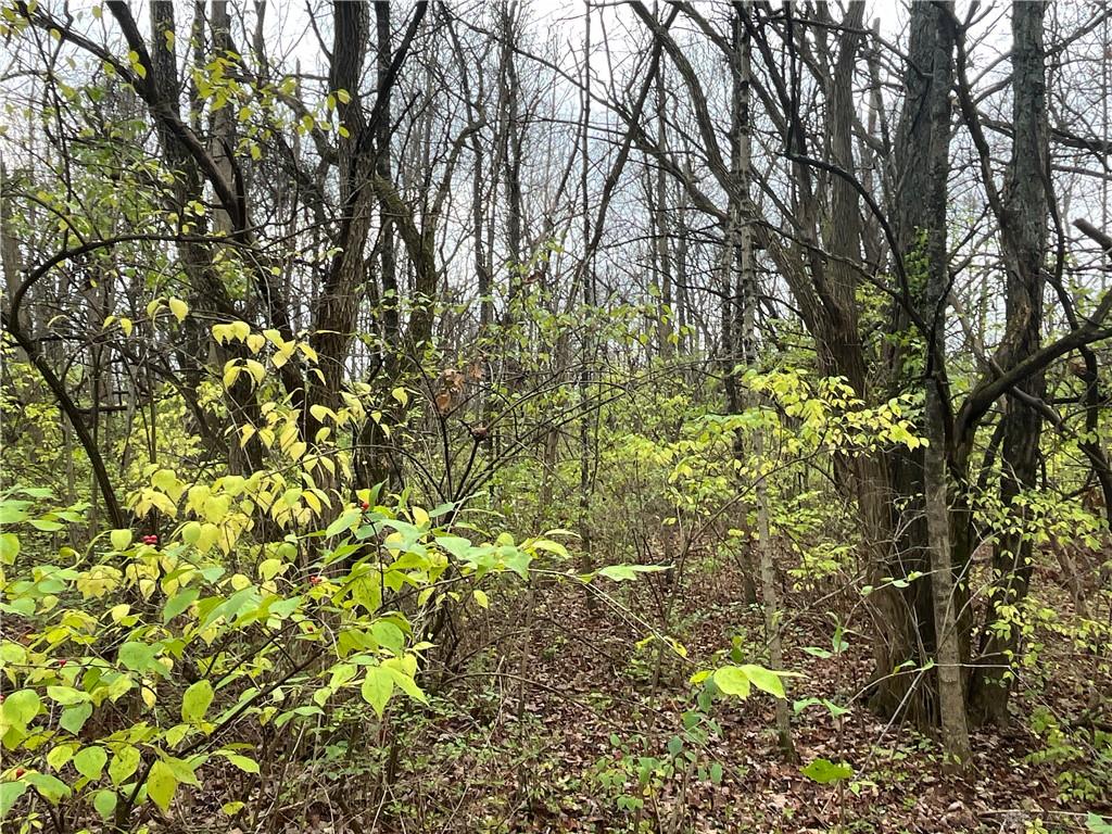 0 Dog Leg Property Photo 27