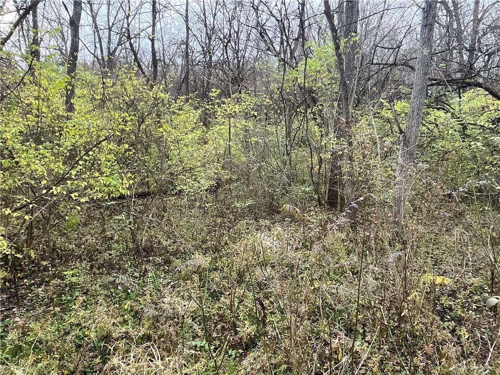 0 Dog Leg Property Photo 28