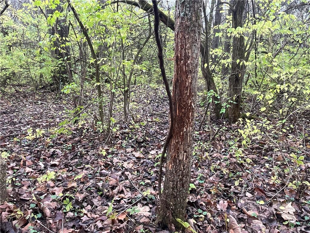 0 Dog Leg Property Photo 29