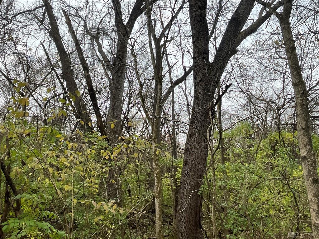 0 Dog Leg Property Photo 31