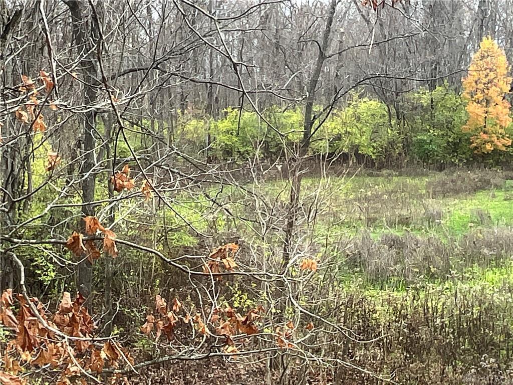 0 Dog Leg Property Photo 33