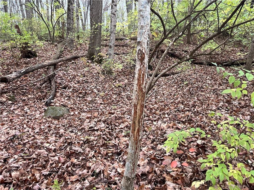 0 Dog Leg Property Photo 34