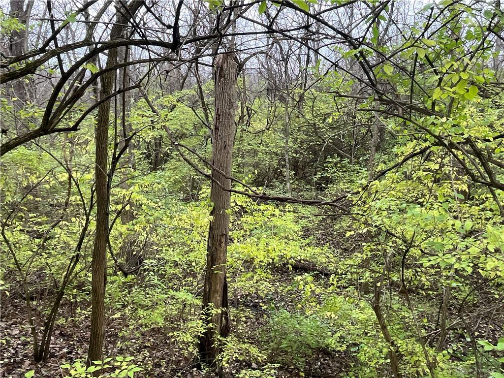0 Dog Leg Property Photo 36