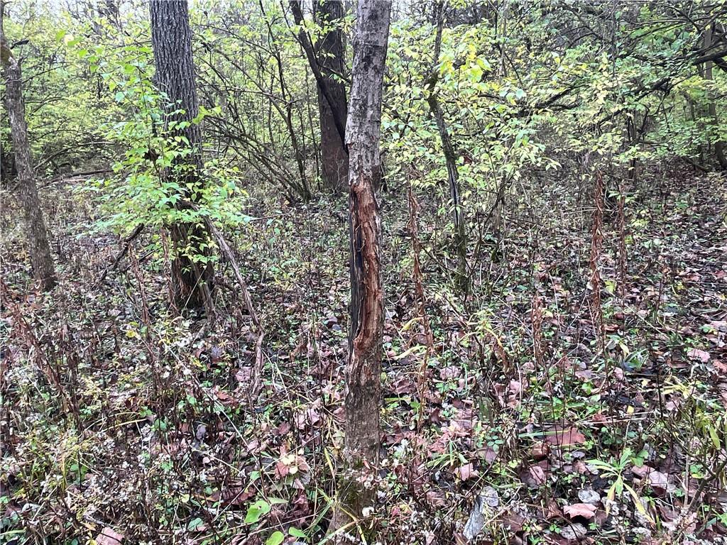0 Dog Leg Property Photo 37